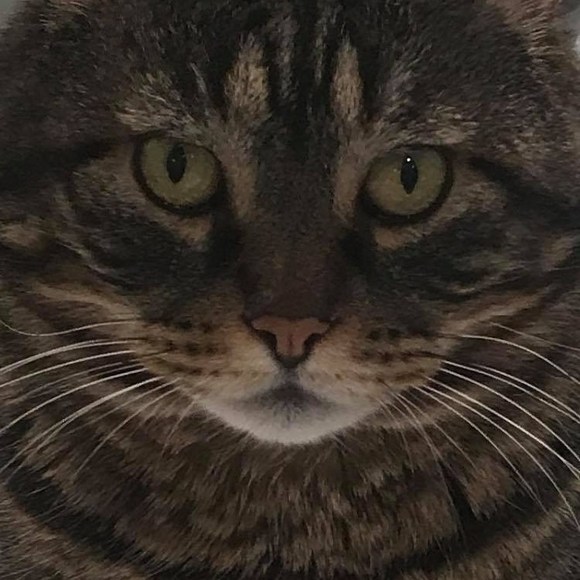 trishagardner21